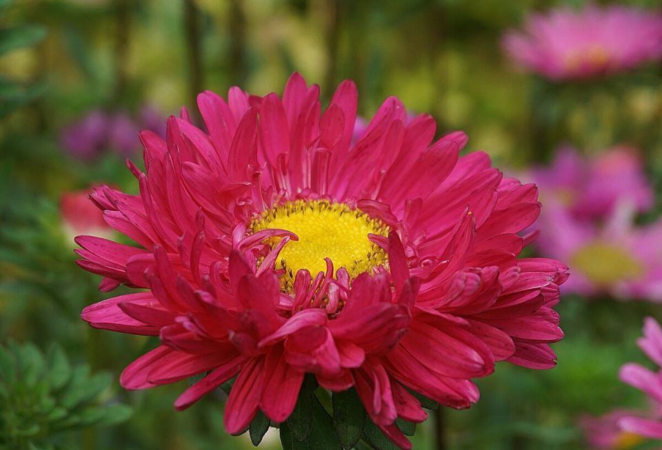 ��� ��������� ����� ��������� ��������